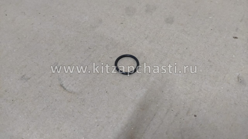 Кольцо уплотнительное HAVAL H2  1002103-EG01