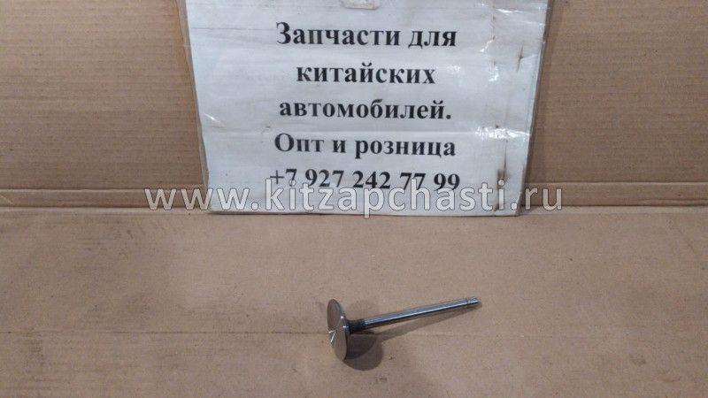 Клапан впускной BAW Fenix 1065 Евро 2 1007011X2